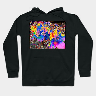 Flower Fireworks Hoodie